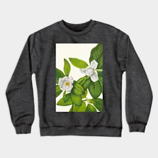 Sweetbay magnolia - Botanical Illustration Crewneck Sweatshirt